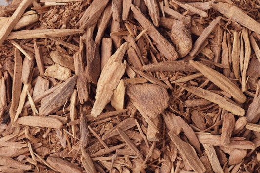 Best Sandalwood perfumes