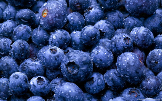 Best blueberry perfumes