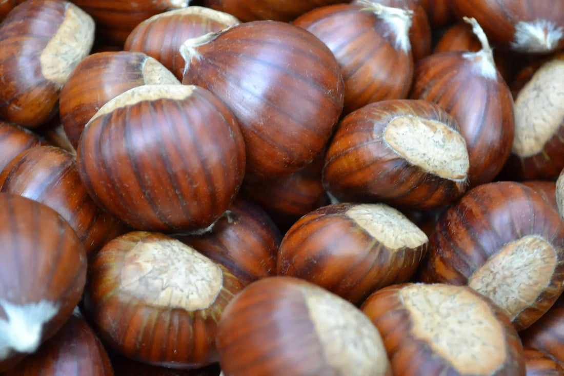 Perfumes with Roasted Chestnut