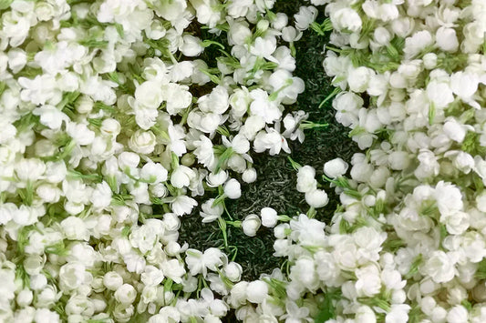 Perfumes with Jasmine