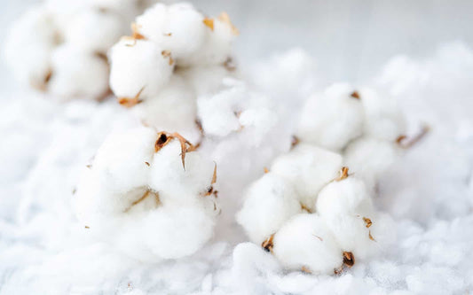 Perfumes with Cotton flowers