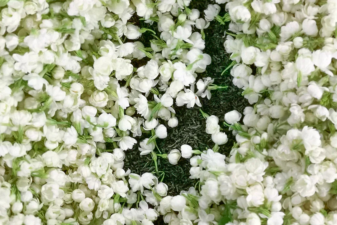 Perfumes with Jasmine