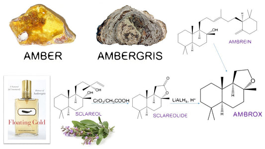 Best ambroxan colognes