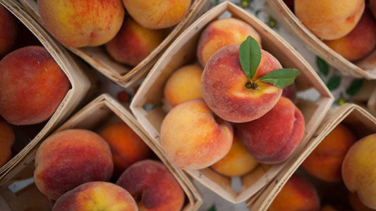 Best Peachy Skin scents